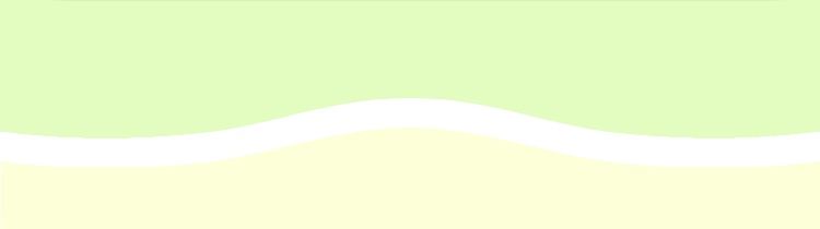 債務整理の事例
実際の解決事例を
ご紹介